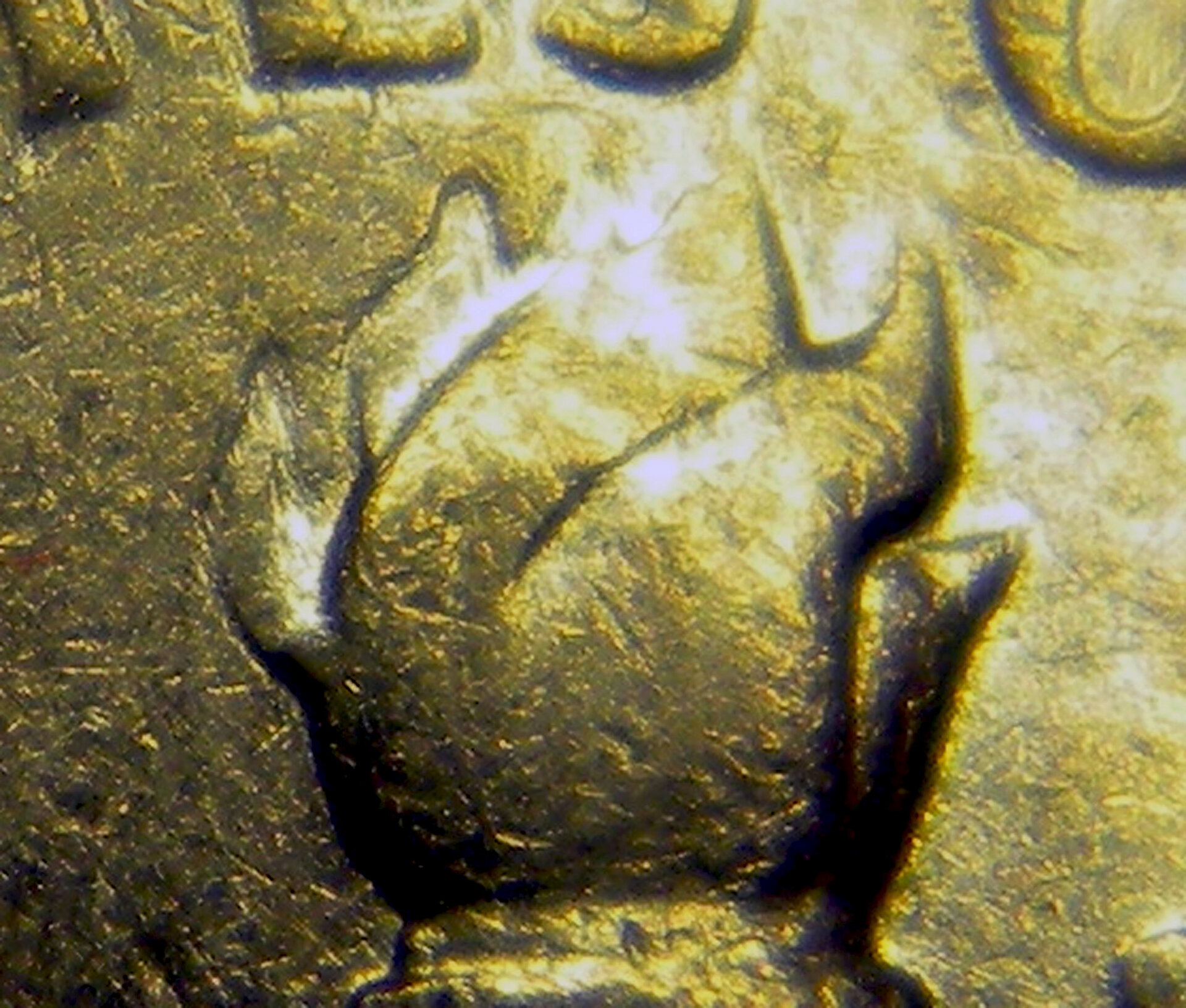 Top CloseUp2.jpg