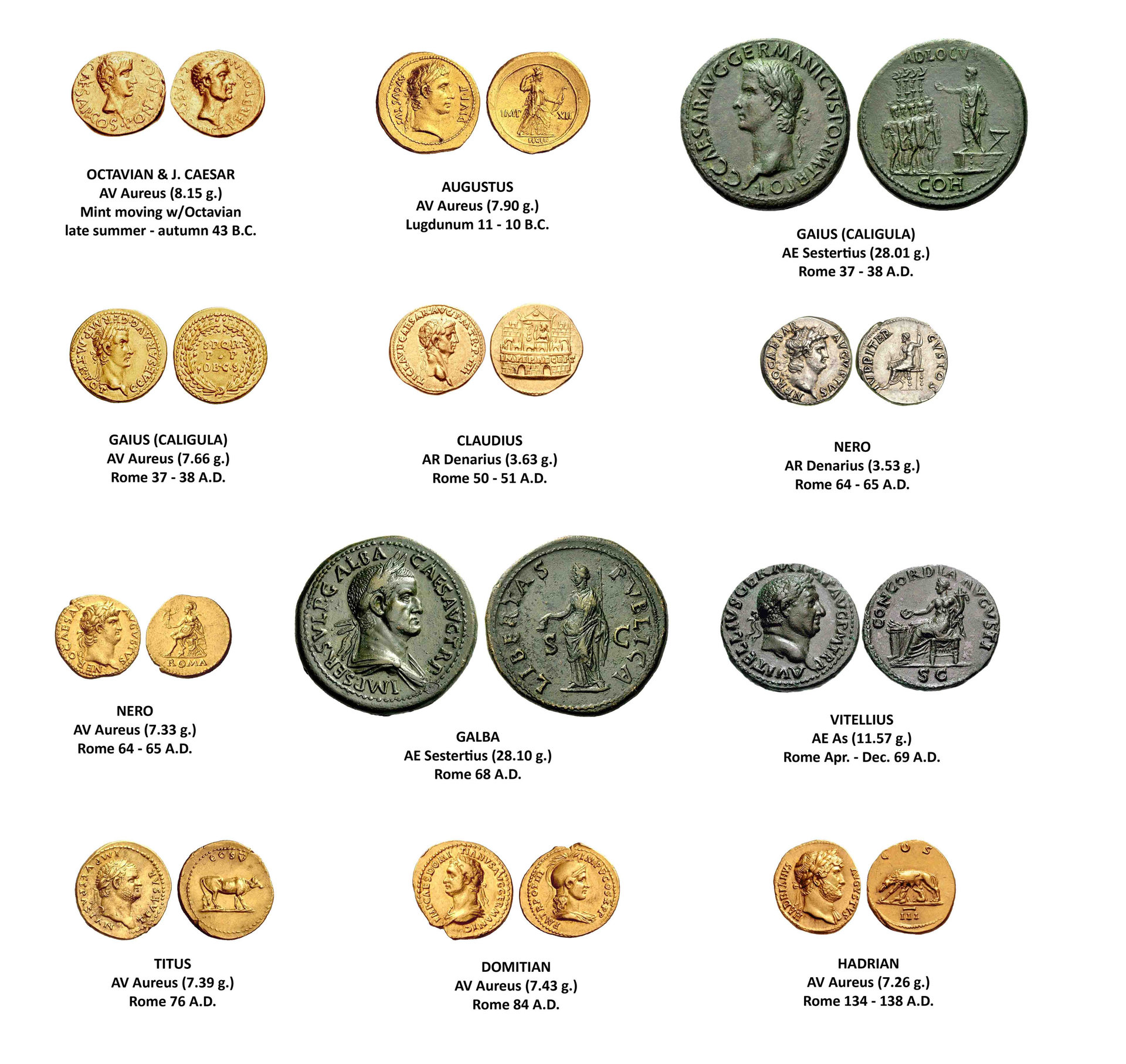 Top Twelve.jpg