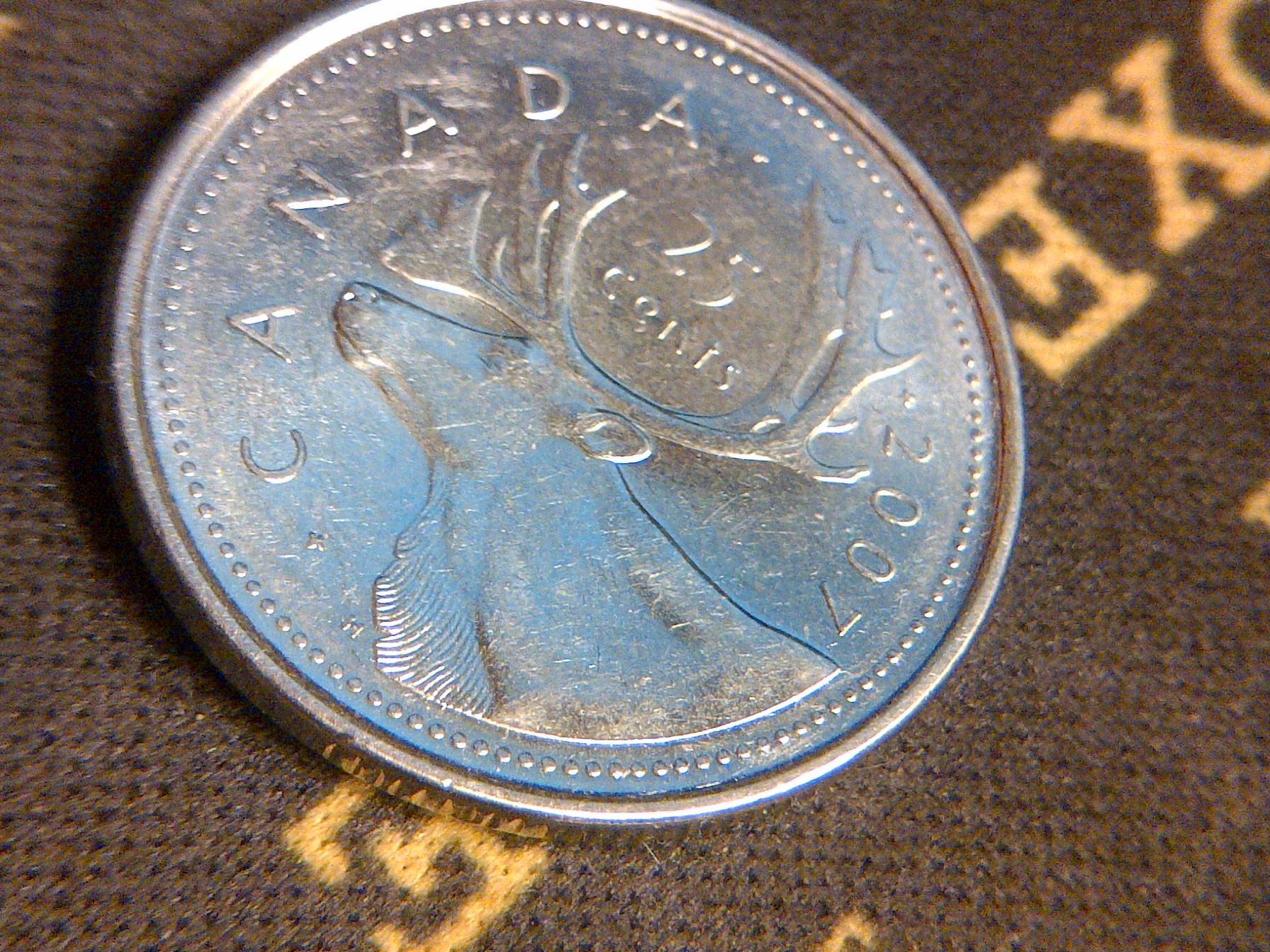 Toronto-20141107-14675.jpg