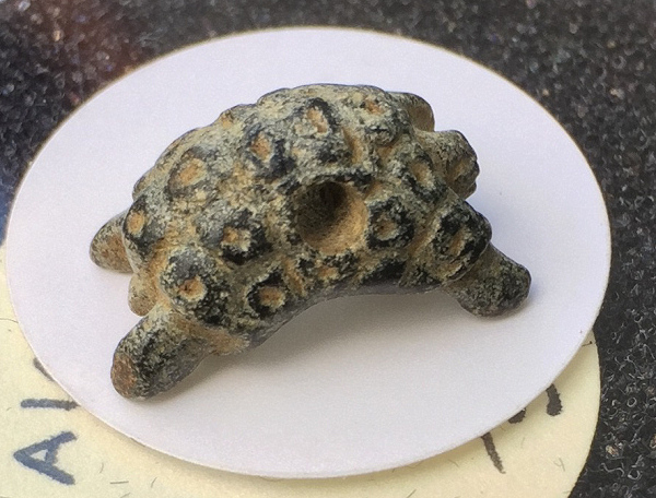 Tortoise Amulet.jpg