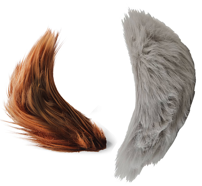 TrachyTribbles.jpg