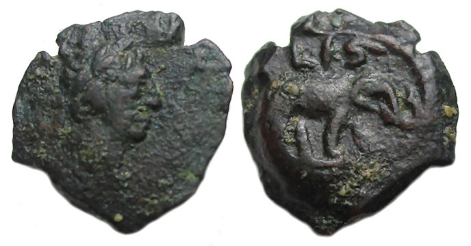 Trajan Alexandria Elephant.jpg