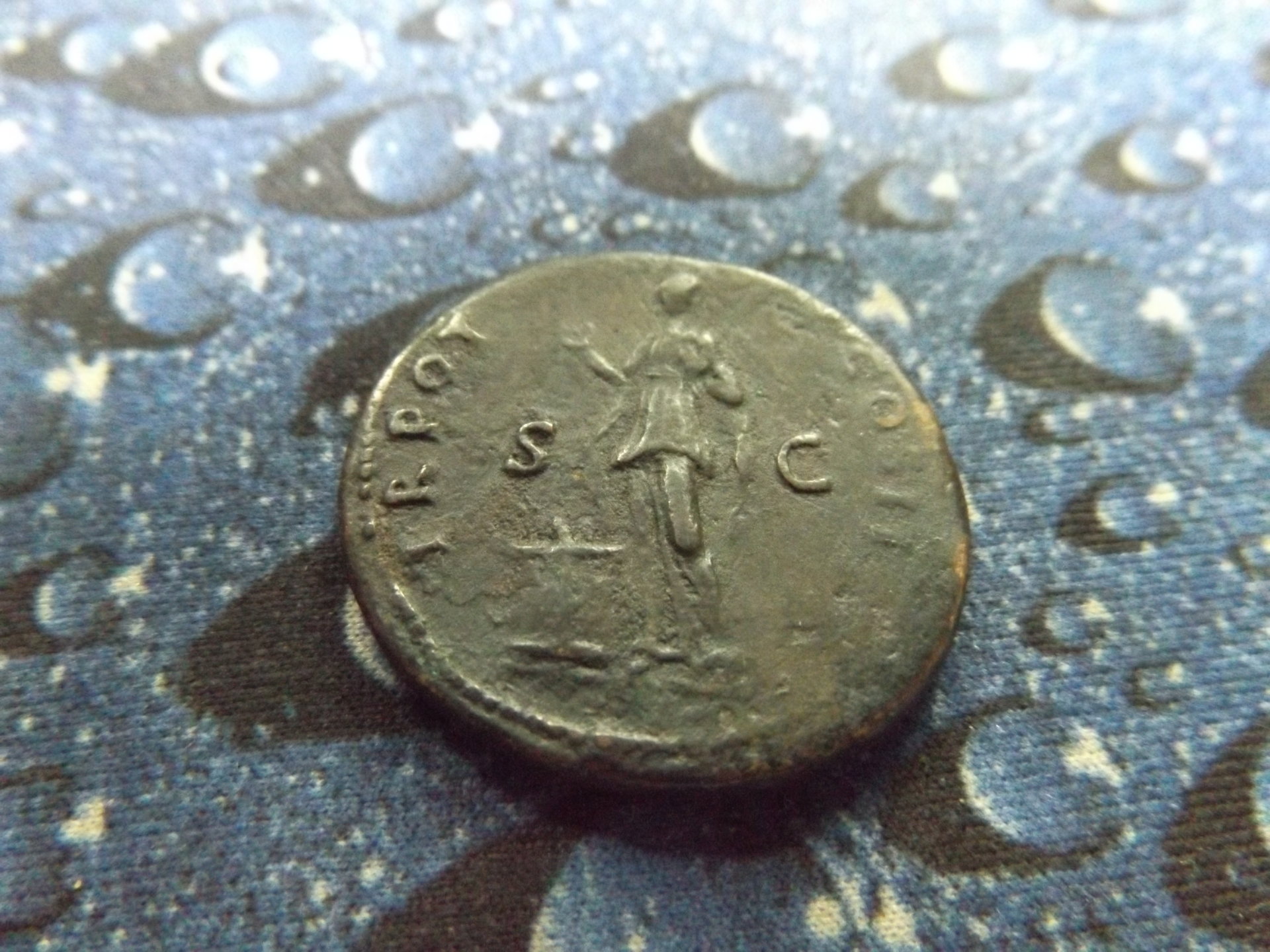 Trajan and vespasian 002.JPG