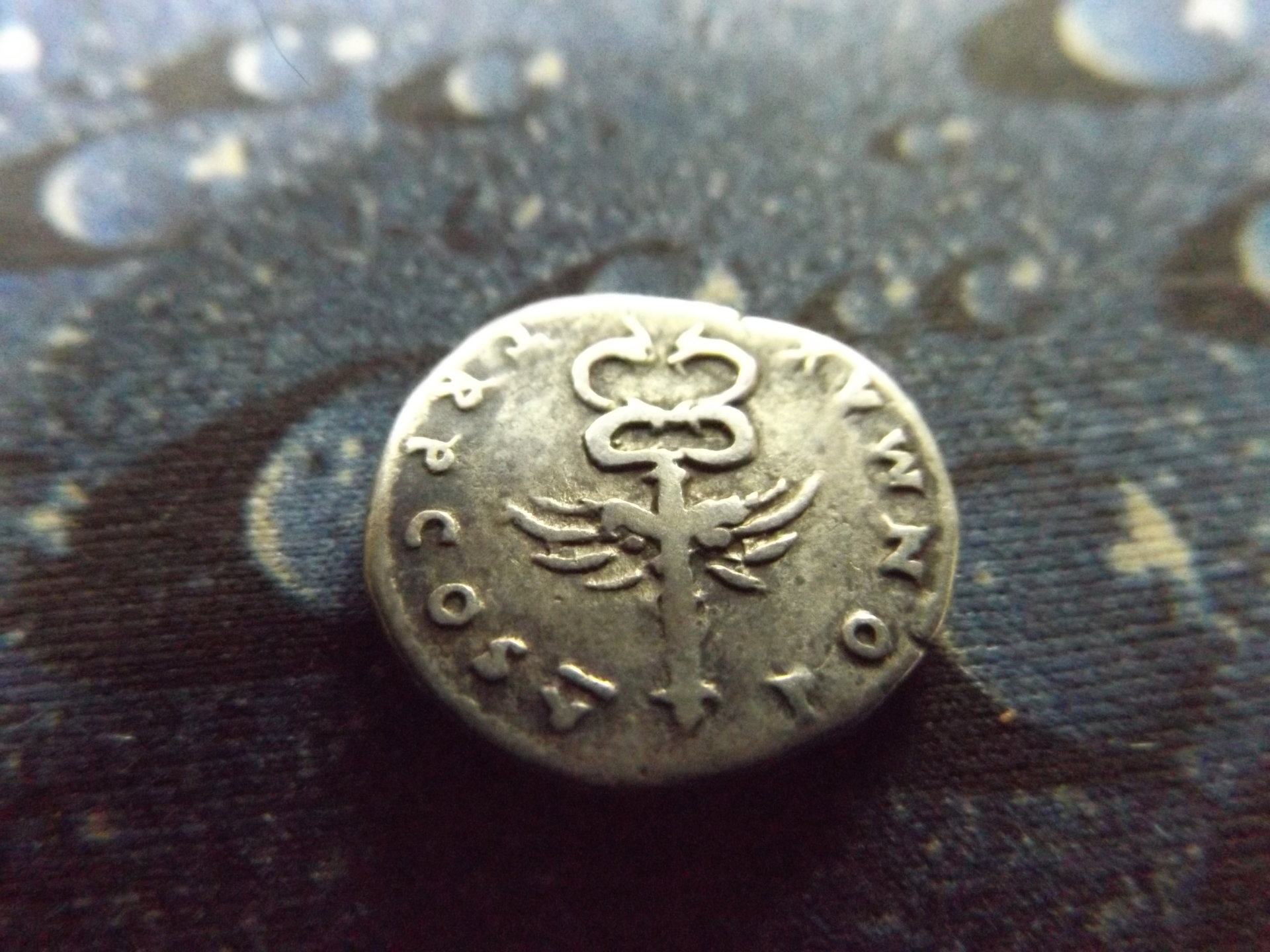 Trajan and vespasian 004.JPG