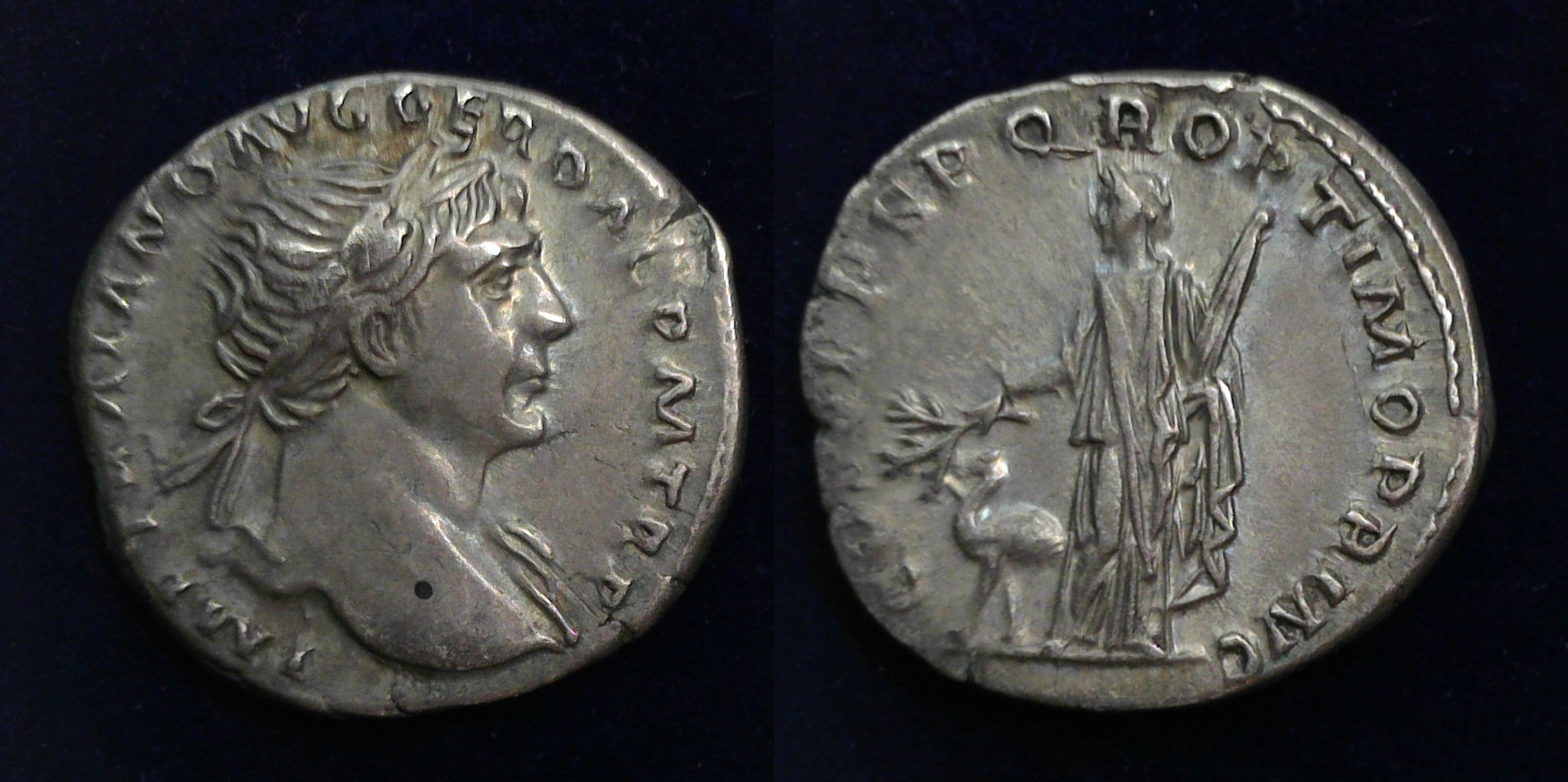 Trajan Arabia Camel.jpg
