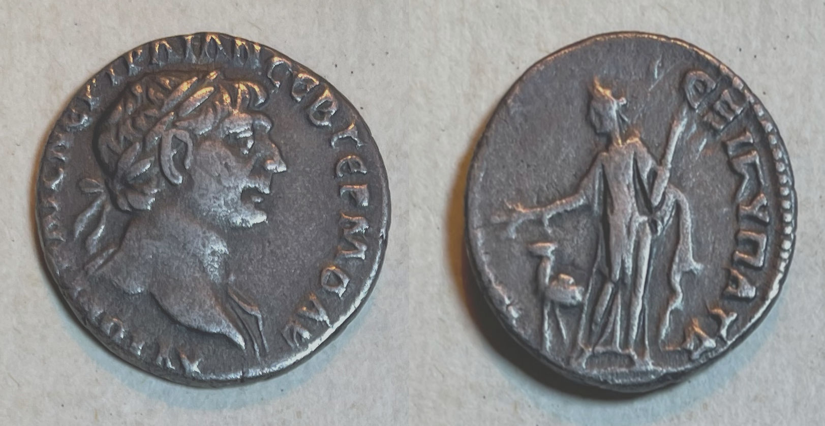 Trajan Bostra Drachm Camel.jpg