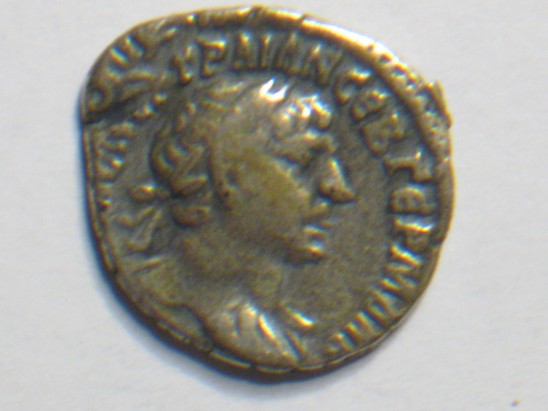 trajan camel denar 002.JPG