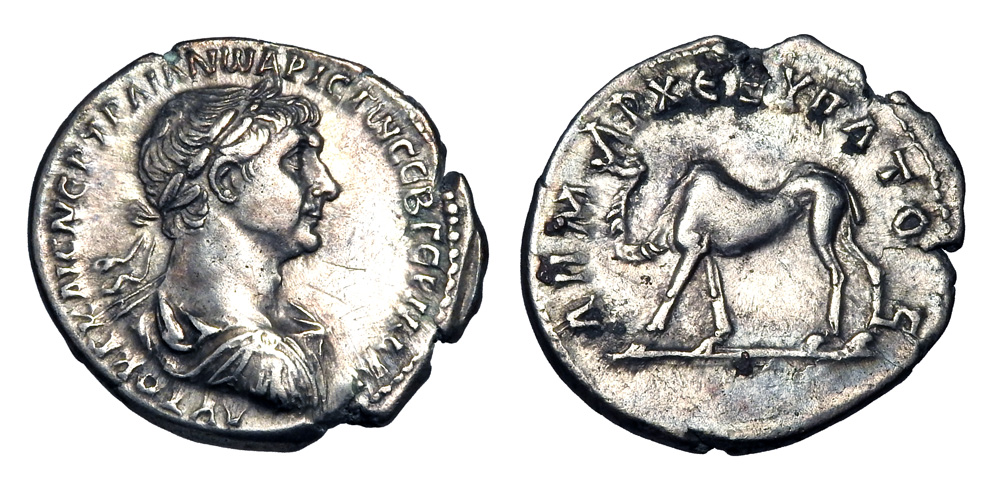 trajan camel.jpg