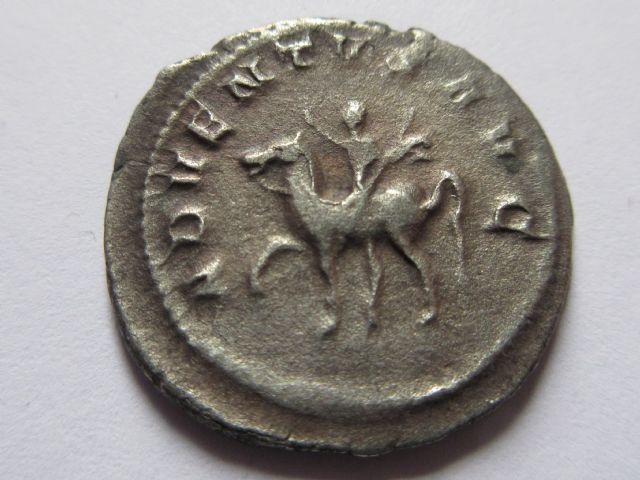 Trajan decius ant wide flan reverse.JPG