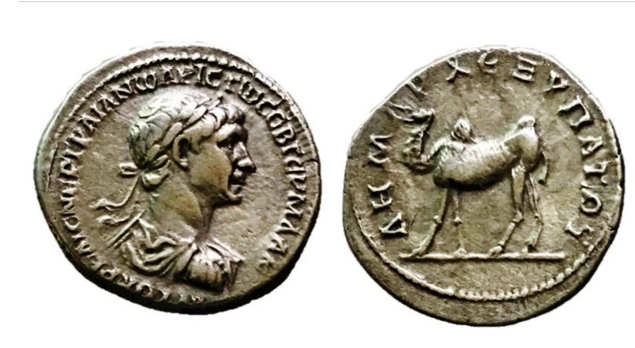Trajan - Drachm, Arabia Bostra, Camel reverse - jpg version.jpg