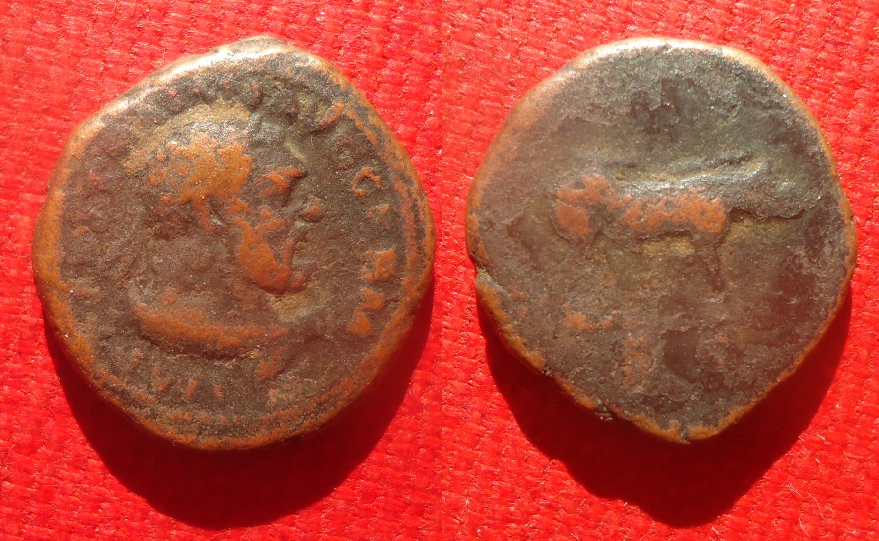 Trajan - Quadrans Hercules & boar Jan 2022 (0).jpg