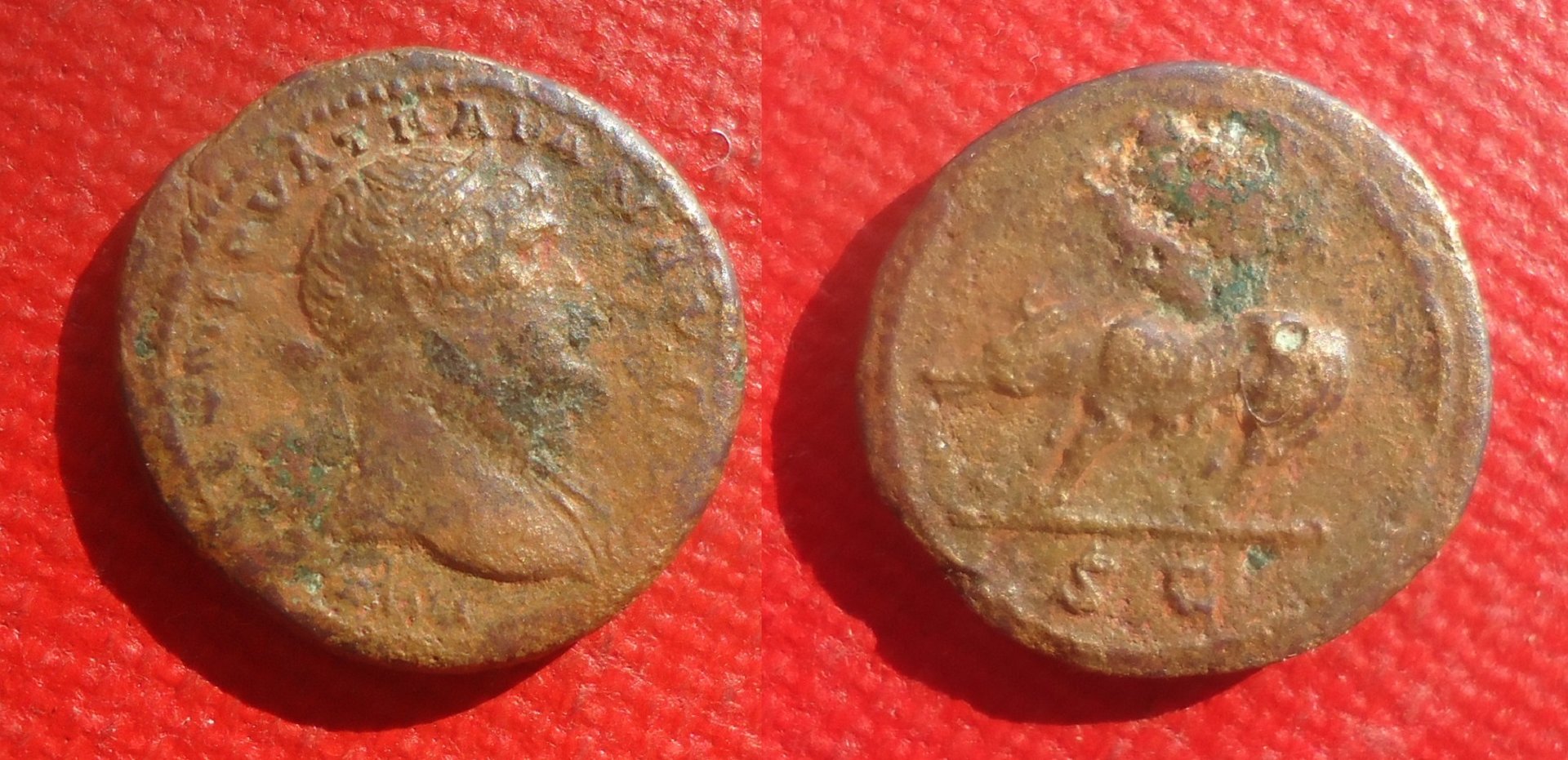 Trajan - Quadrans wolf NC lot Aug 2020 (0).jpg