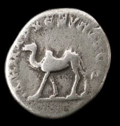 trajan rev.JPG