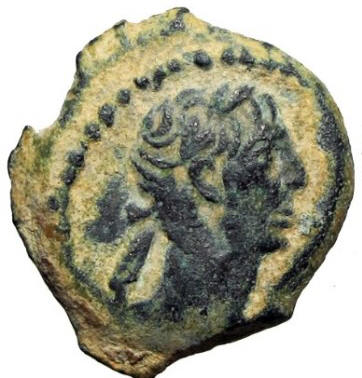 trajan rhino a.jpg