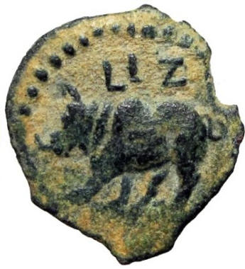 trajan rhino b.jpg