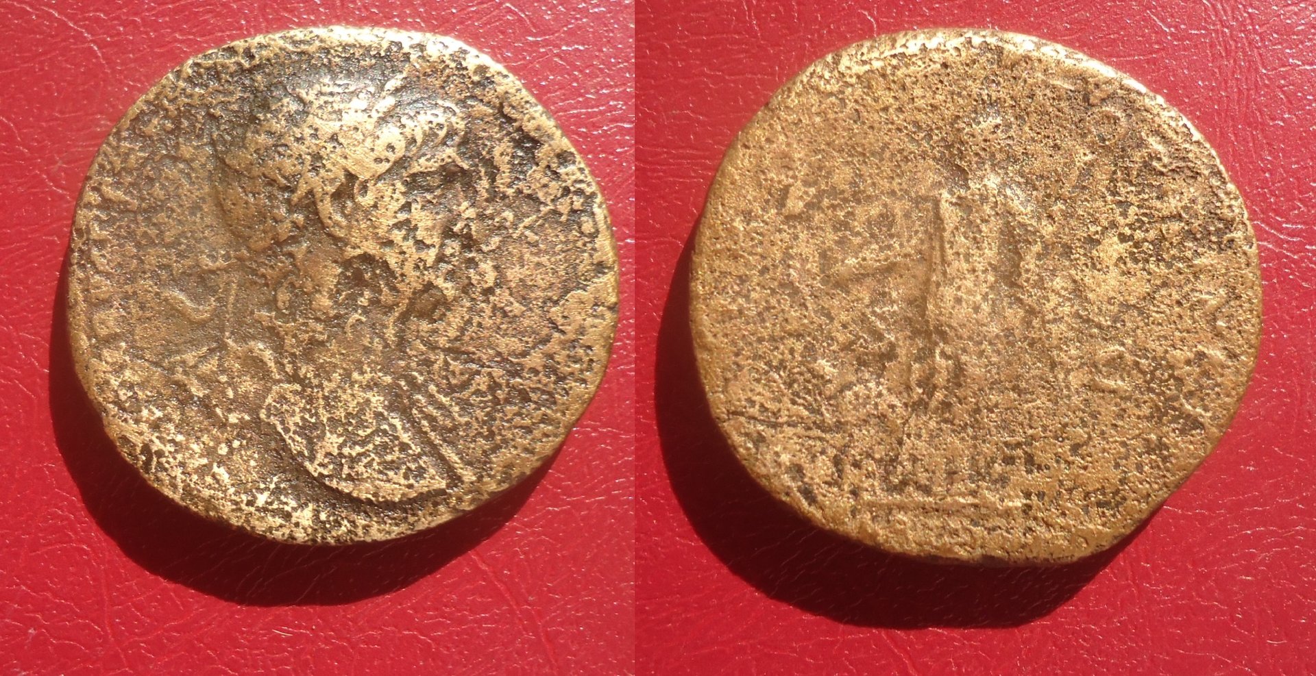 Trajan - Sest. Arabia Camel lot Sep 2020 (0).jpg