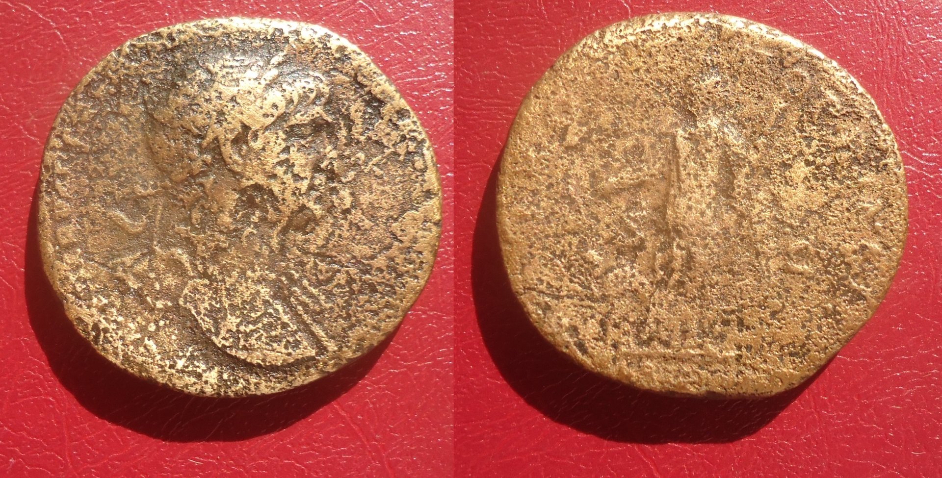 Trajan - Sest. Arabia Camel lot Sep 2020 (0).jpg