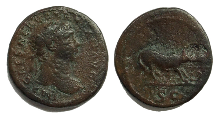 trajan wolf400.jpg