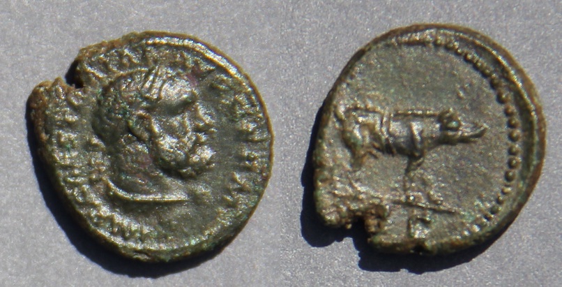 Trajan3QuadransHerculesBoar.jpg