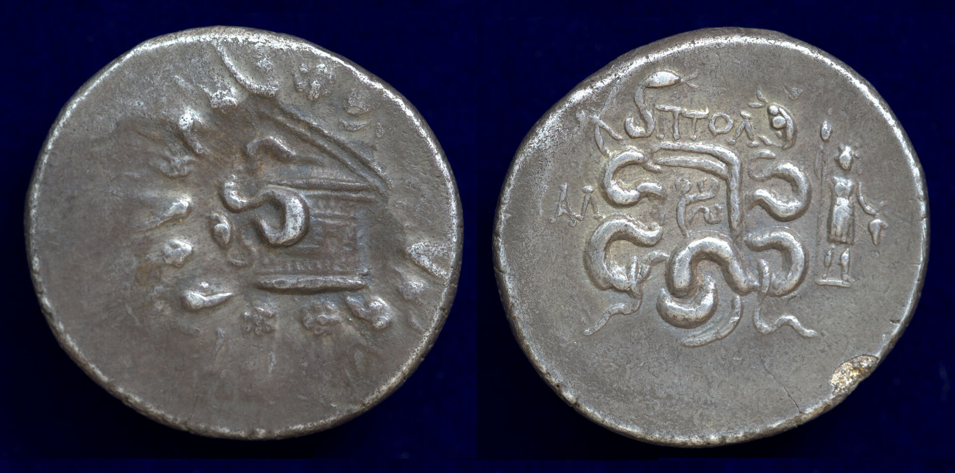 Tralles Cistophoric PTOL.jpg