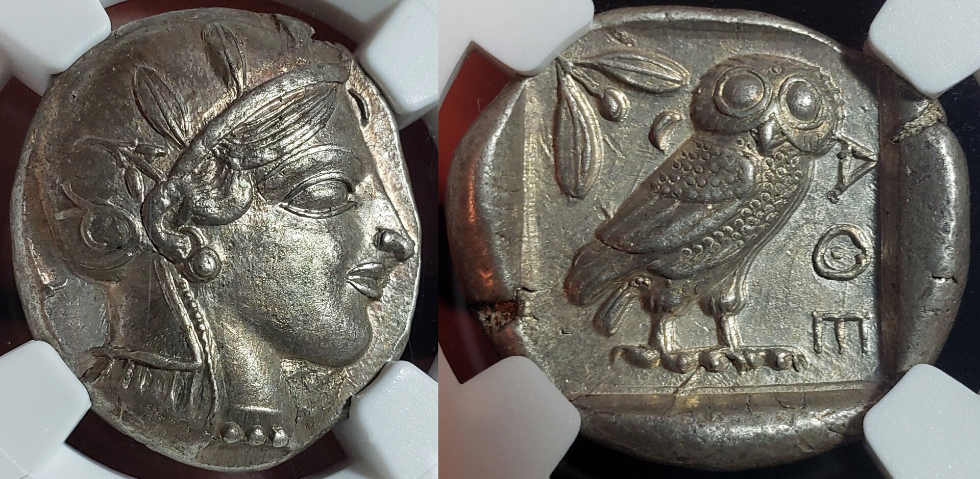 Transitionowl.jpg