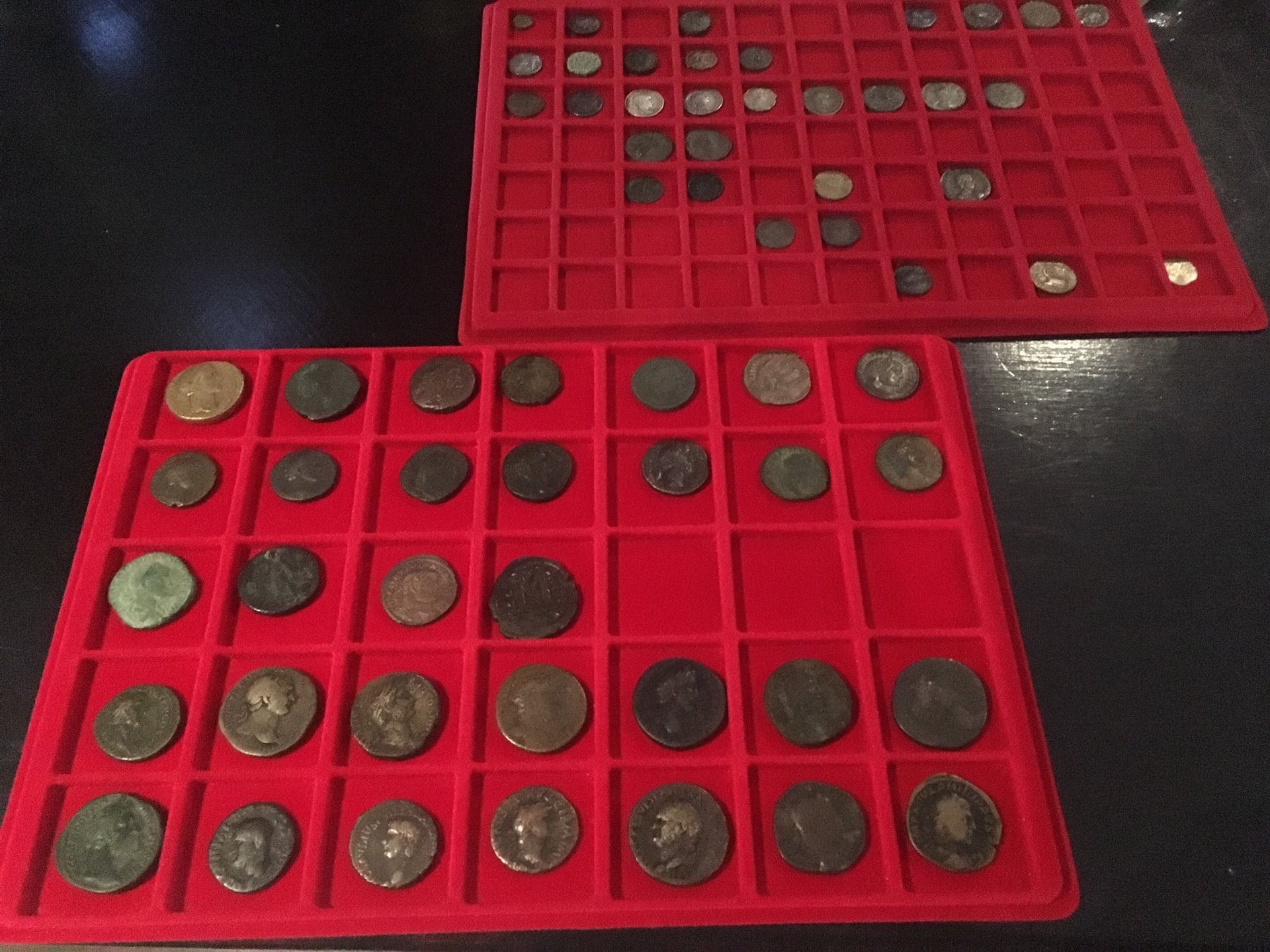 TRAYS.jpg