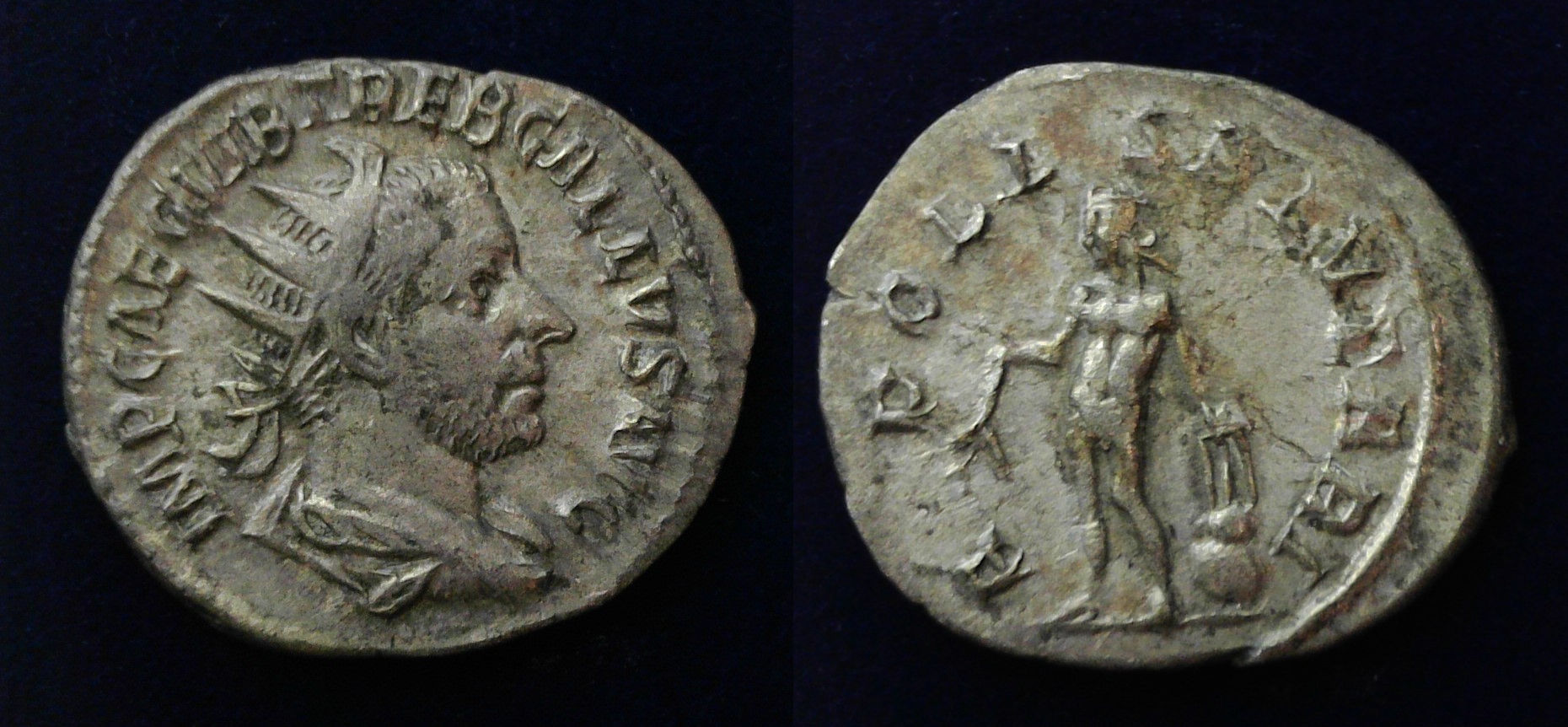 Treb Gallus Apollo Salut.jpg