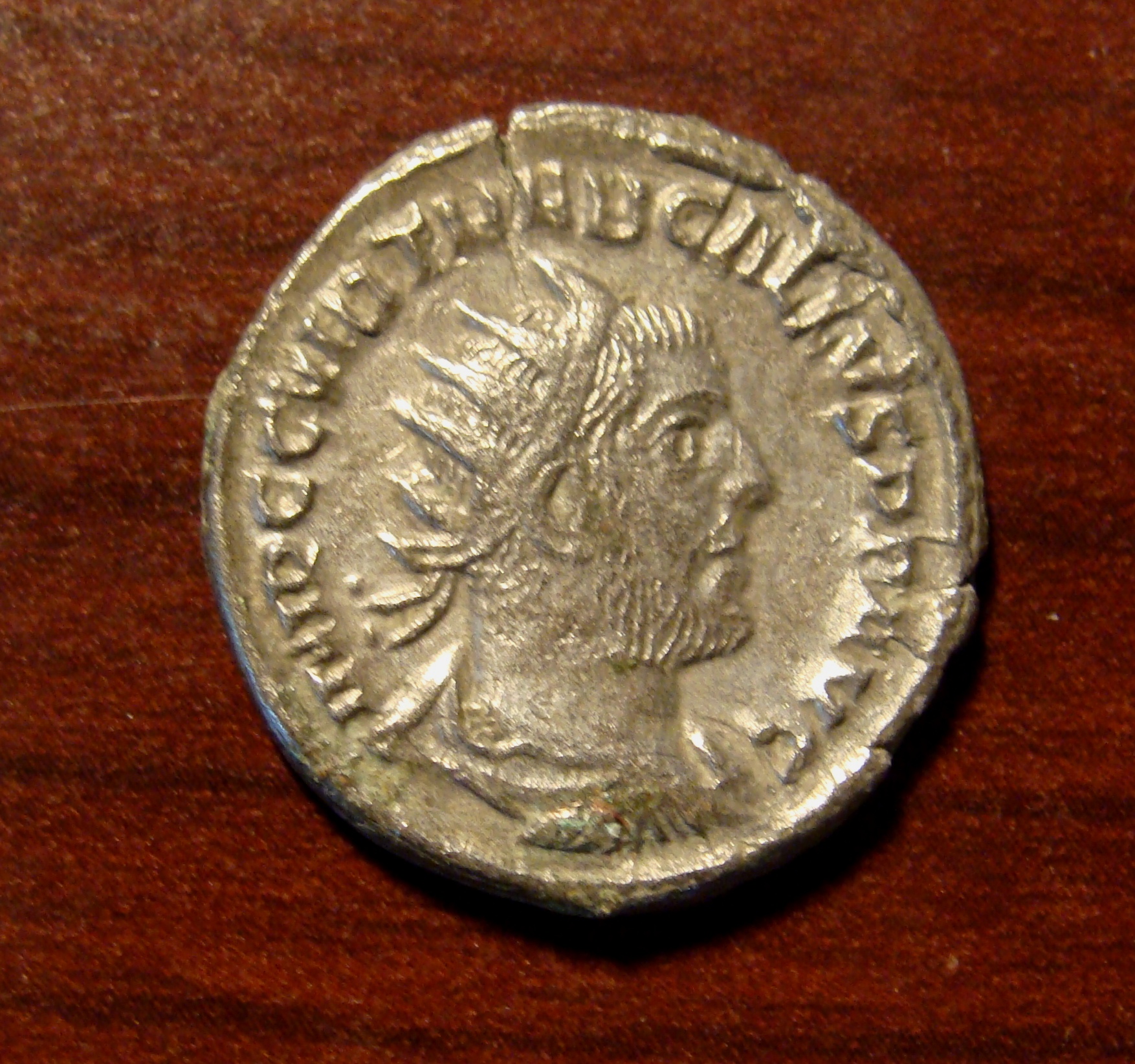 Treb Gallus Obv.JPG