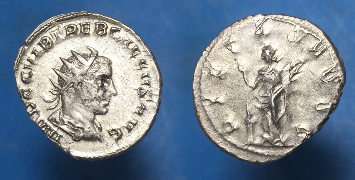 treb865.JPG