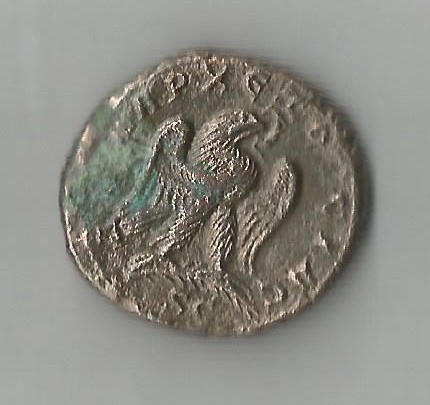 TrebGalBil R 001.jpg