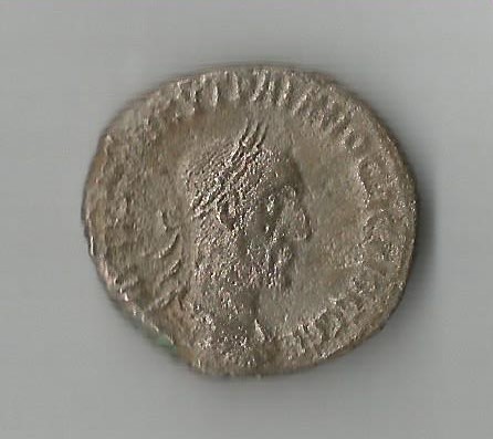 TrebGalBill O 001.jpg