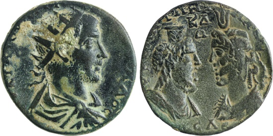 trebgallus02.jpg