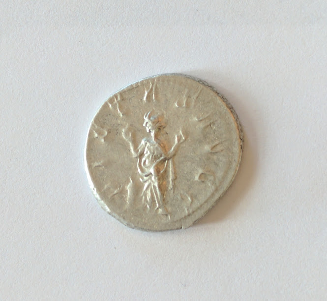 trebgallus2.jpg