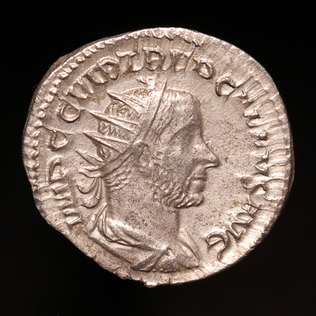 TrebGallus450xO1_edited-1.jpg