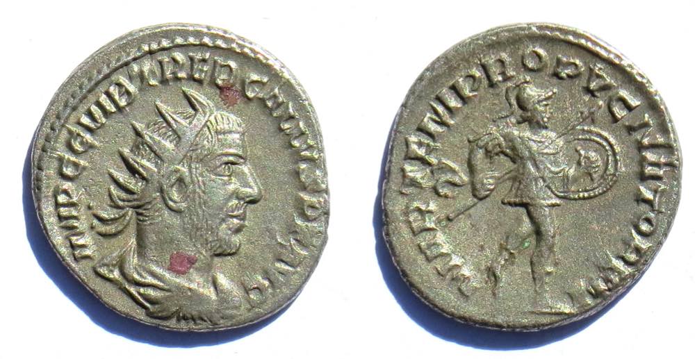 TrebGallusMARTIPROPVGNATORI15225.jpg