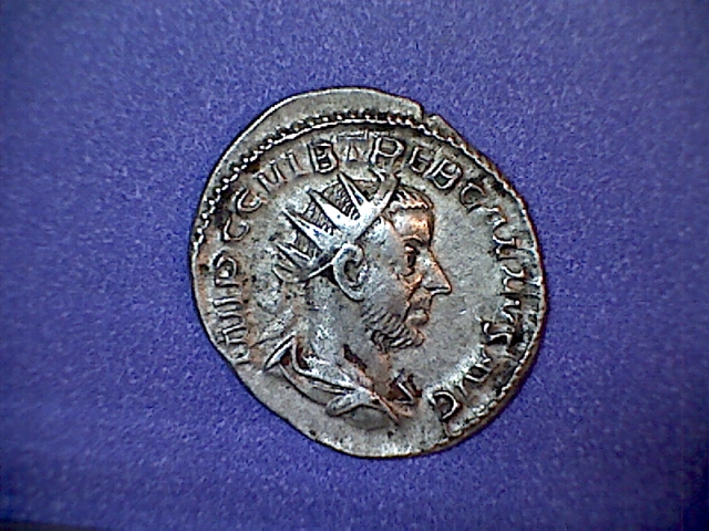 trebonianus gallusa.jpg