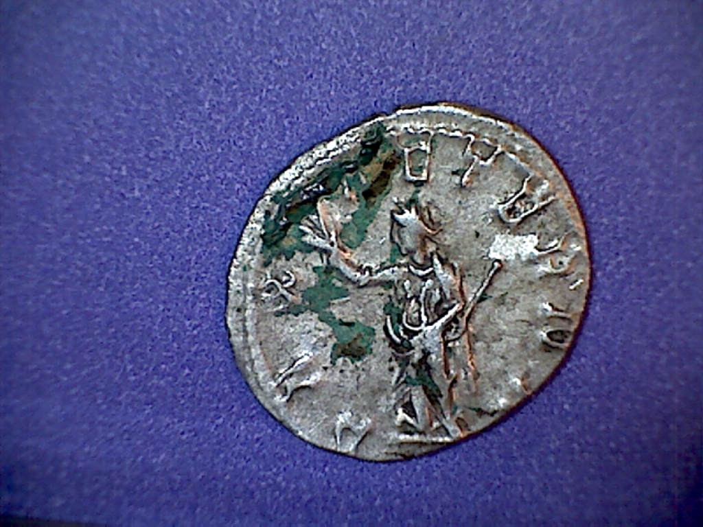 trebonianus gallusb.jpg