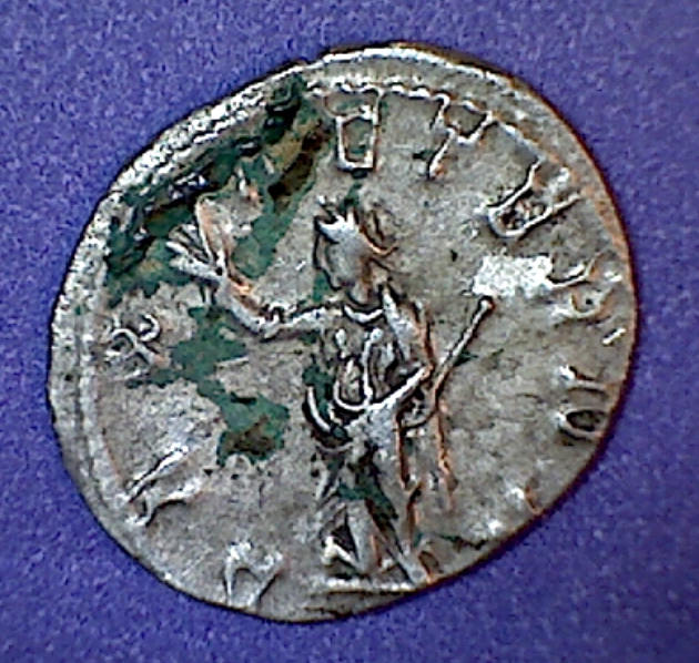 trebonianus gallusb.jpg