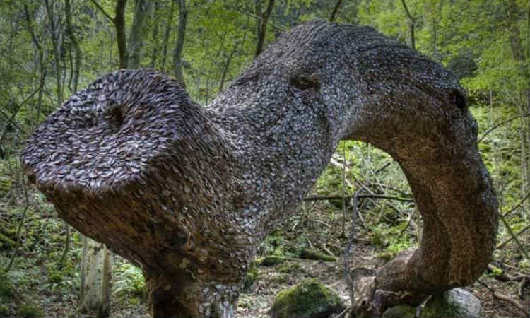 tree11.jpg