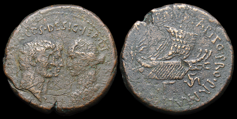 TressisPNG (3).png