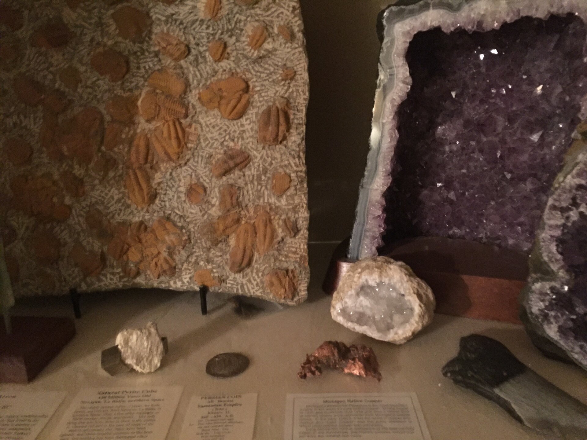 Trilobite Mortality Plate.jpg