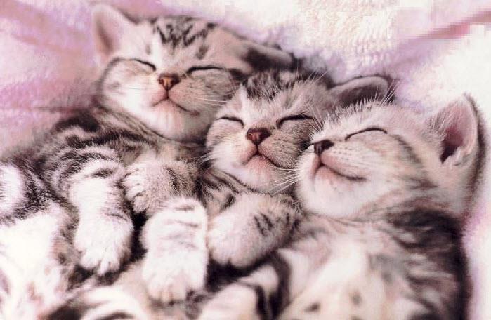 triplets.jpg
