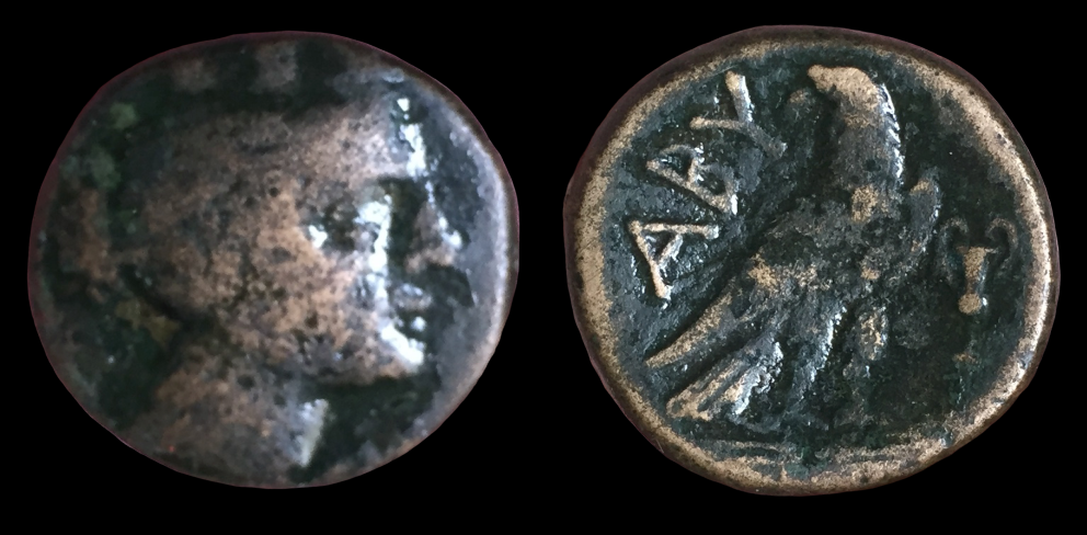 Troas, Abydos AE20.png