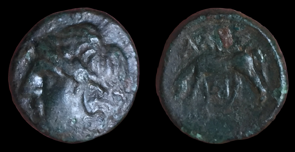 Troas Alexandria AE13.png