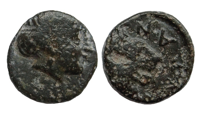 troas antandros artemis400.jpg