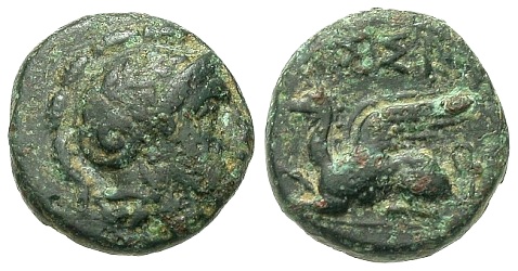 TROAS-Assos-ACsearchForum.jpg