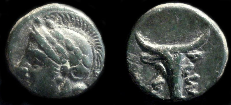 TROAS ASSOS.jpg