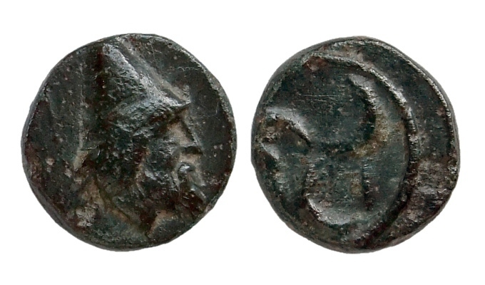 Troas Birytis 3 400.jpg