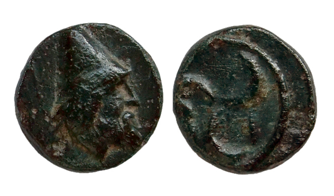 Troas Birytis 3 400.jpg