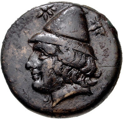 Troas Birytis a.jpg